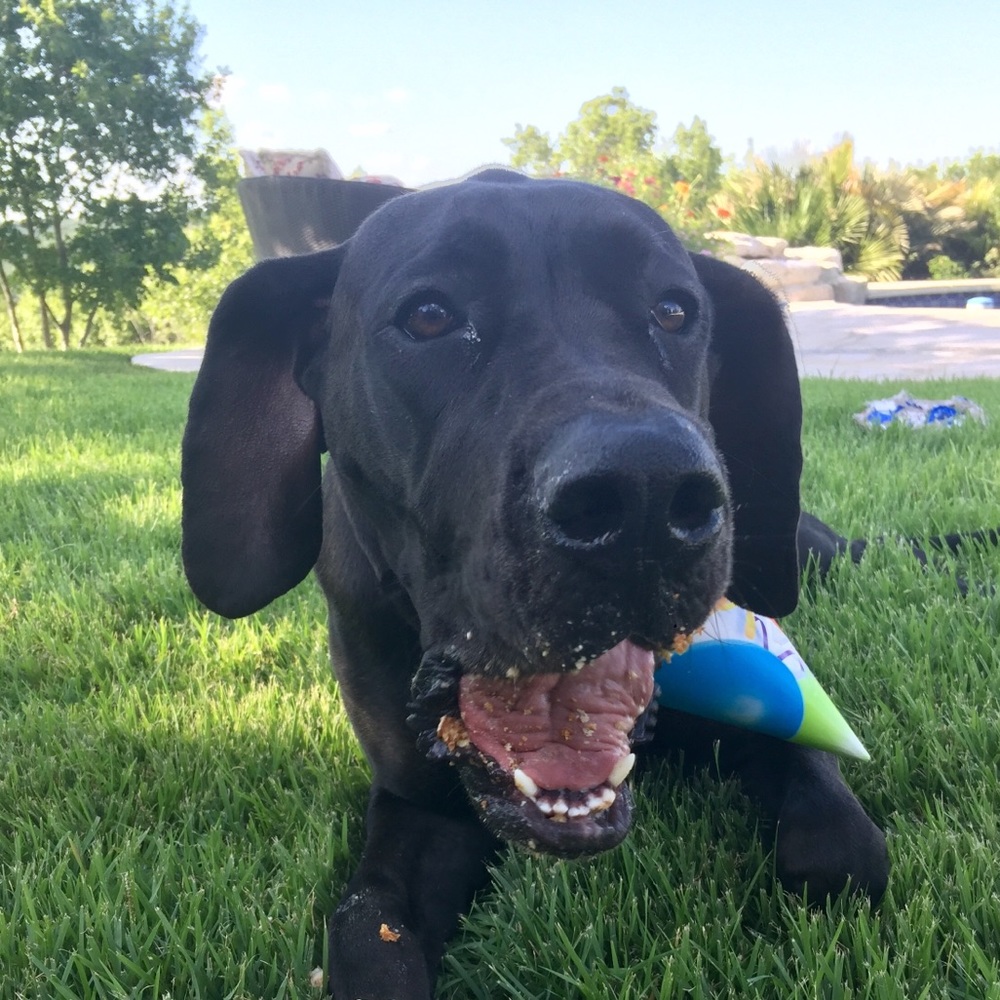 Meet your Posher, Paulyn